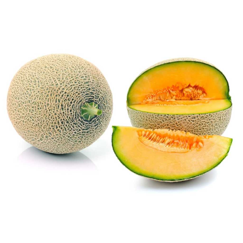 

Melon Sakata