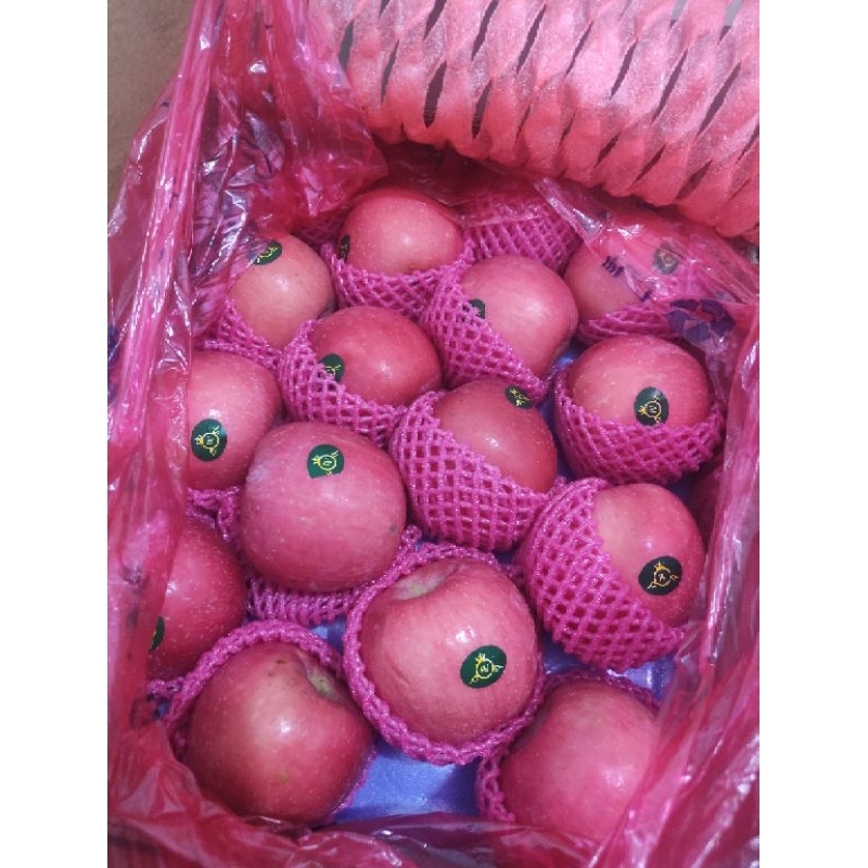 

Link buah kirim instant