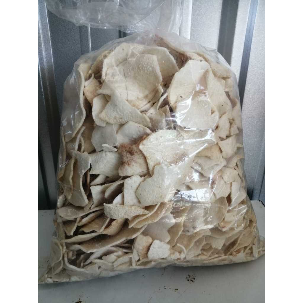 

KERIPIK GADUNG