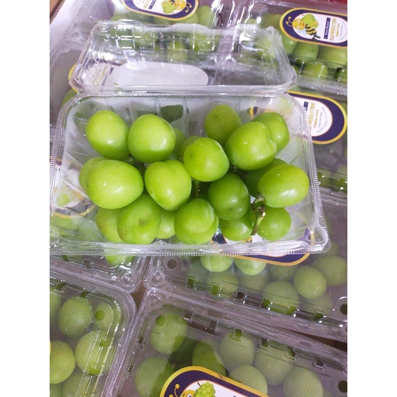 

Anggur Hijau Shine Muscat pack 500gr