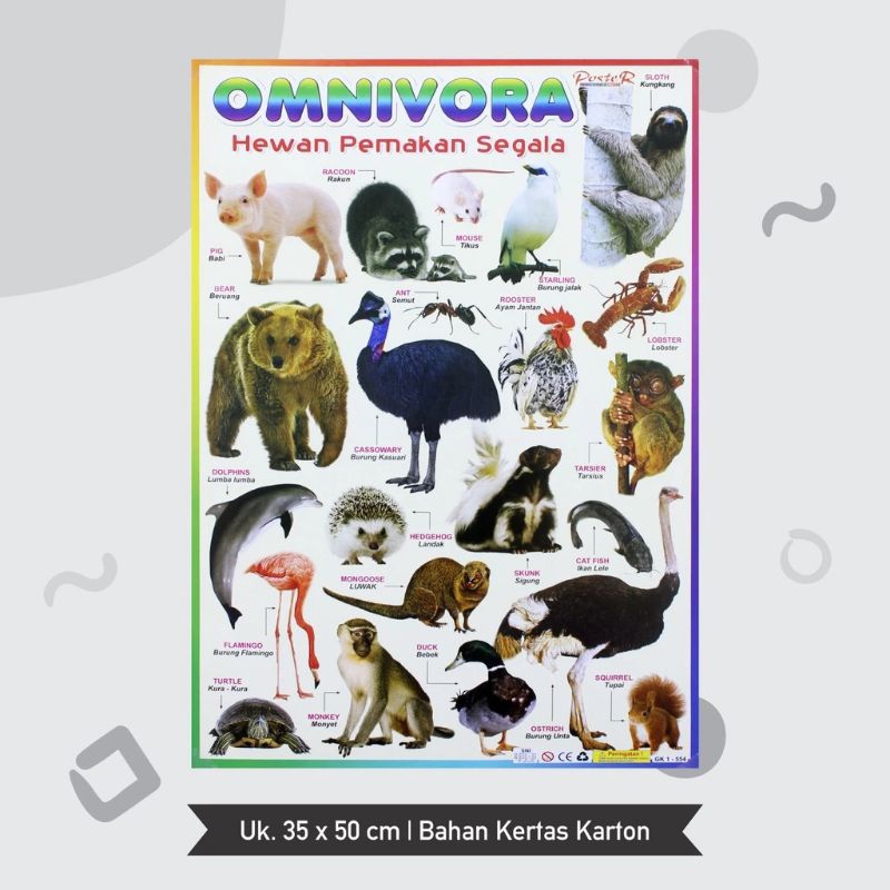 

Poster Edukasi Anak Hewan Carnivora