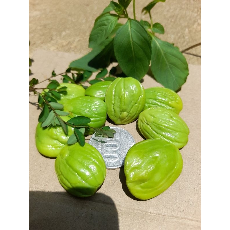 

obral Pete / petai kupas tua super besar 100gr