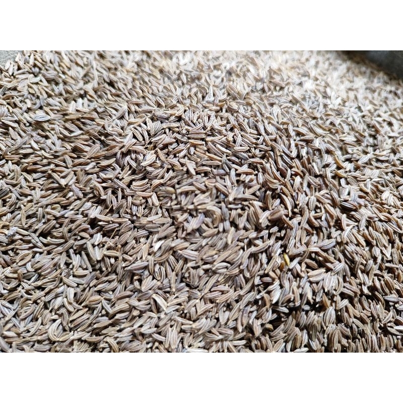 

Jinten hitam 50/100gram