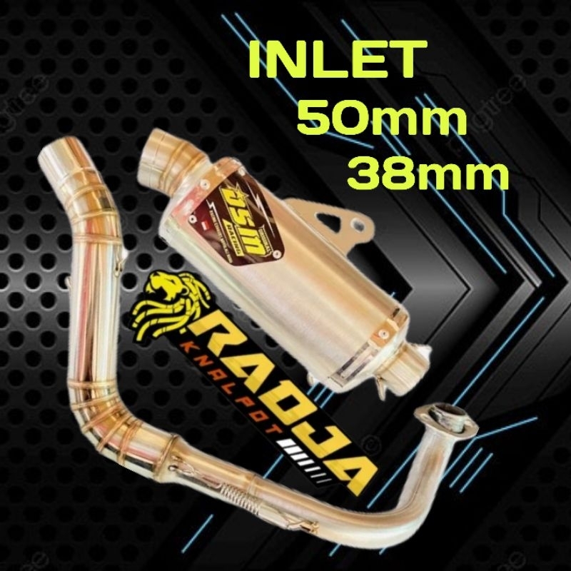 Knalpot DSM oval 20 beat fi beat carbu mio vario