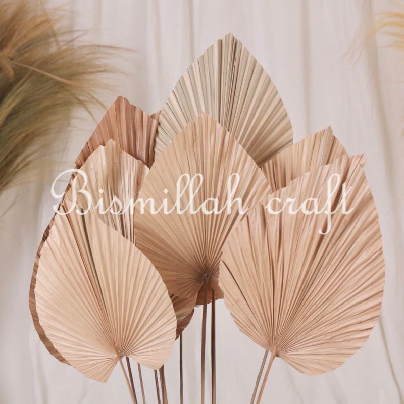 PROMO TERMURAH Palem Mini Dekorasi Daun Rustik Kering Palem Sikas Pampas Daun Palem Kering Daun Pale