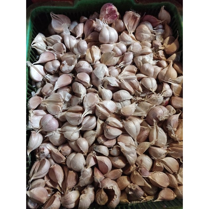 

Bawang Merah / Bawang Putih Tunggal / Bawang Putih Bulet (250gr)