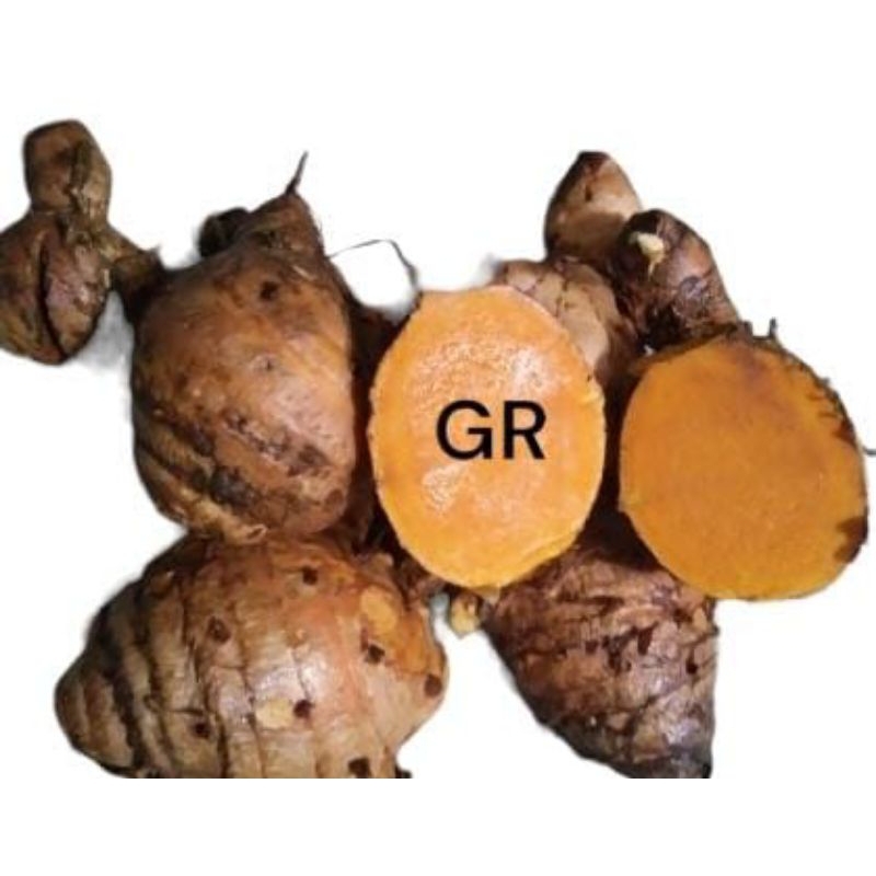 

Temulawak segar murah 1kg