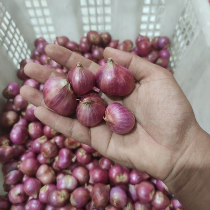 

Bawang Merah Super 1kg