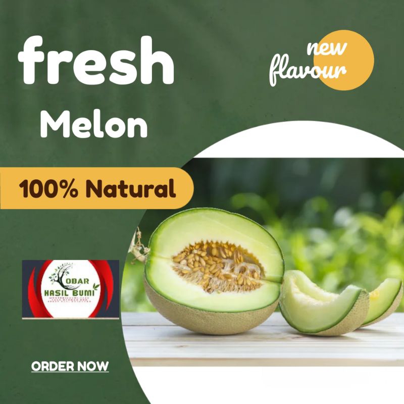 

Melon super manis & segar 1butir