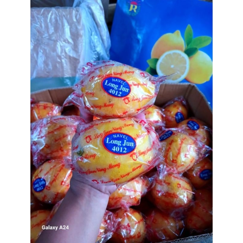 

✔INSTAN AREA SURABAYA ❤ Lemon import harga per kg ❤ Buah Surabaya