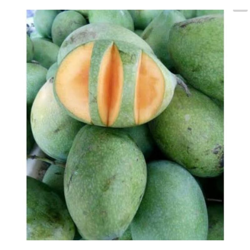 

Mangga simanalagi fresh dan segar 500gram
