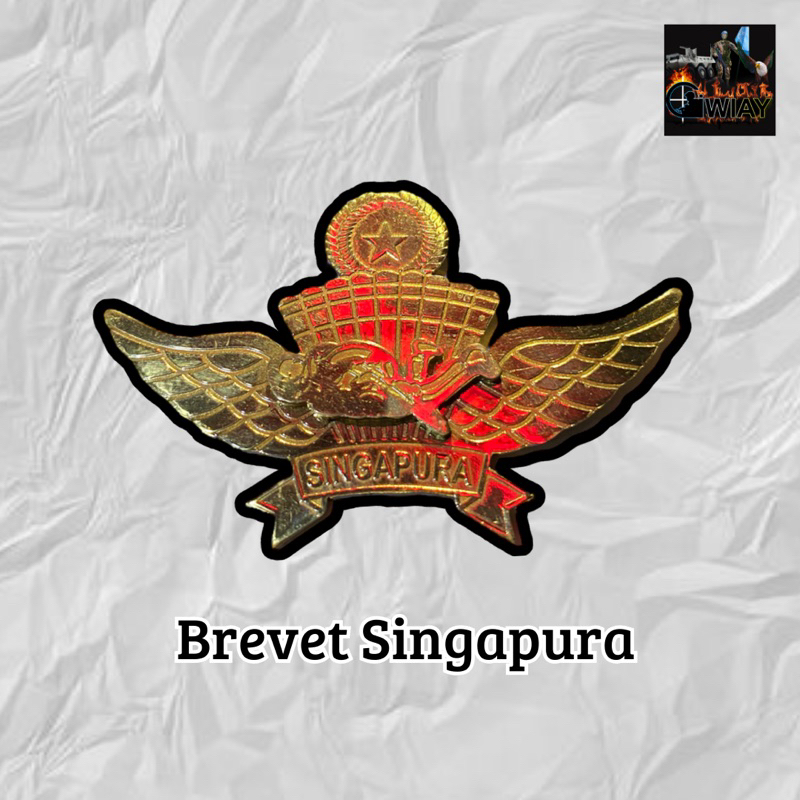 Pin / Bros / Wings / Brevet Singapura TNI POLRI