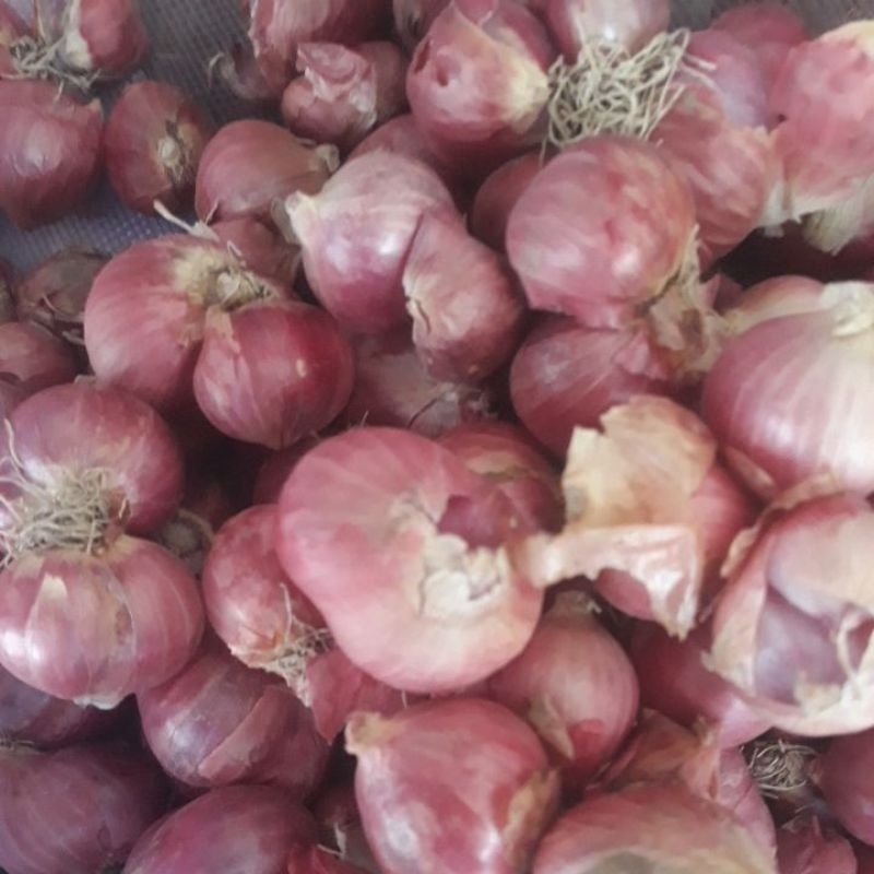 

bawang merah / brambang SUPER kering 500 gram