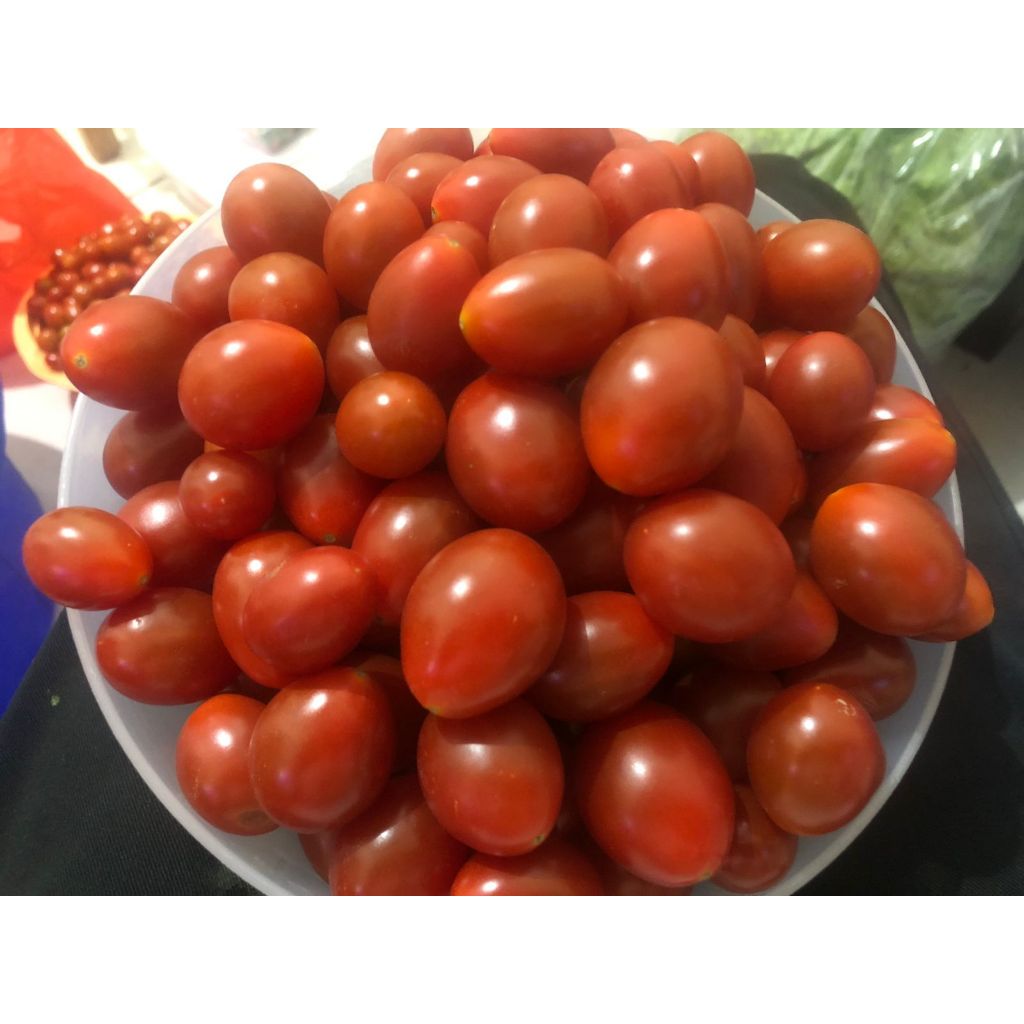 

Tomat Cherry 500 gram