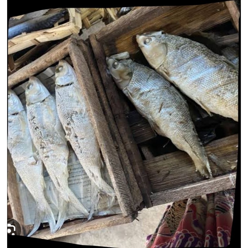

bandeng Wonogiri,sangat terkenal lezat isi 2