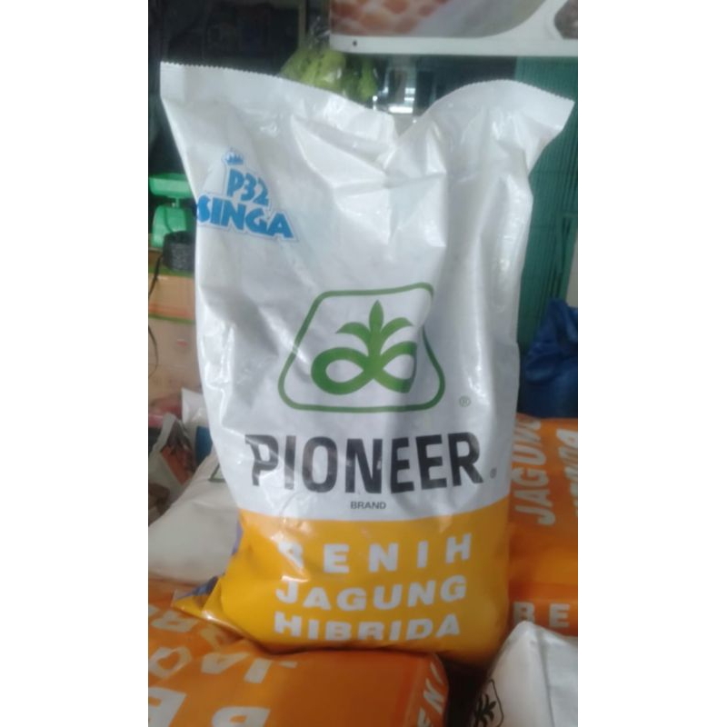 BENIH JAGUNG HIBRIDA PIONEER P32 SINGA