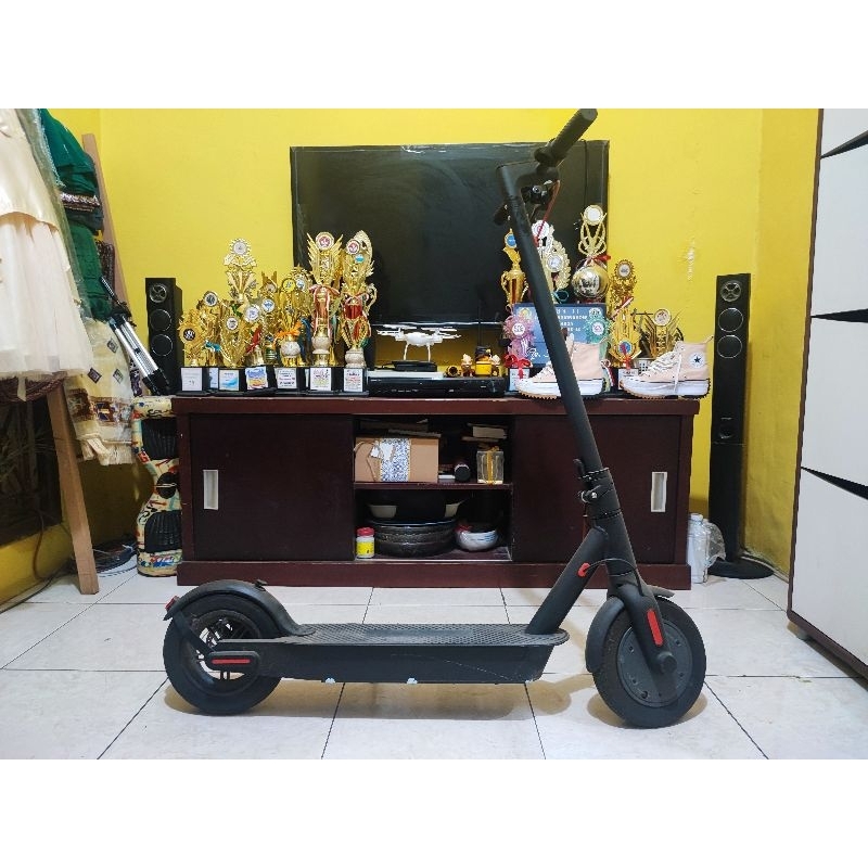 scooter listrik ban 10 inch