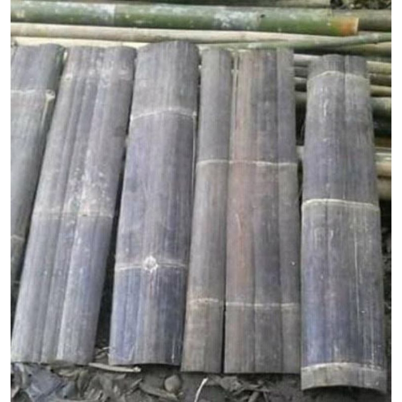 Talupuh/Palupuh bambu hitam