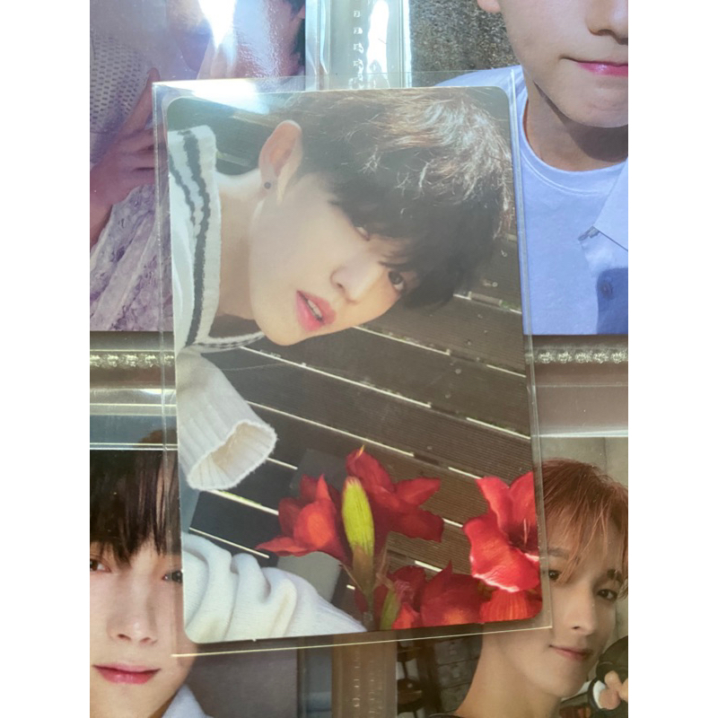 PC Scoups Teen Age White Ver