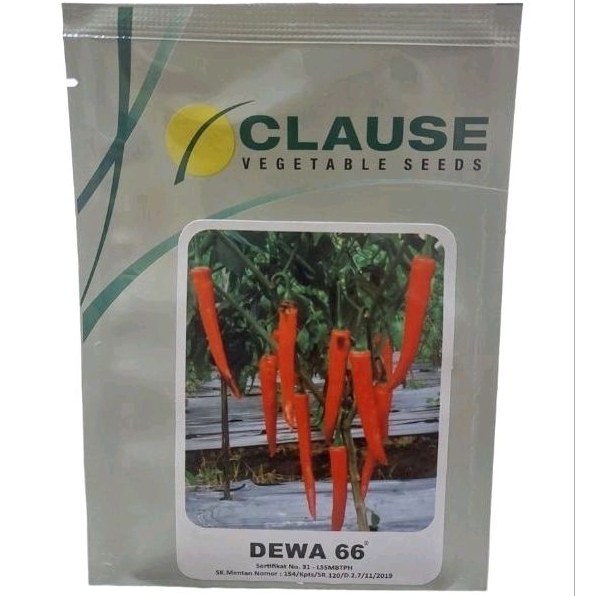 Benih Cabe besar DEWA 66 F1