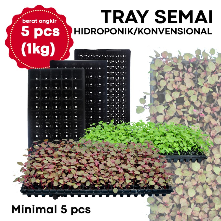 Grosir Jirifarm Tray Semai  Murah lubang 105, 128 dan 200  PET (1 pcs) Terlaris