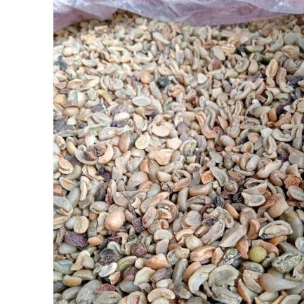 

Greenben Arabika Lowgrade