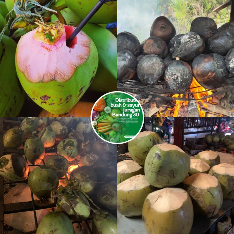 

KELAPA BAKAR KELAPA HIJAU KELAPA IJO KELAPA MUDA FRESH PENGIRIMAN INSTAN SETIAP HARI OBAT PANAS KELAPA IJO