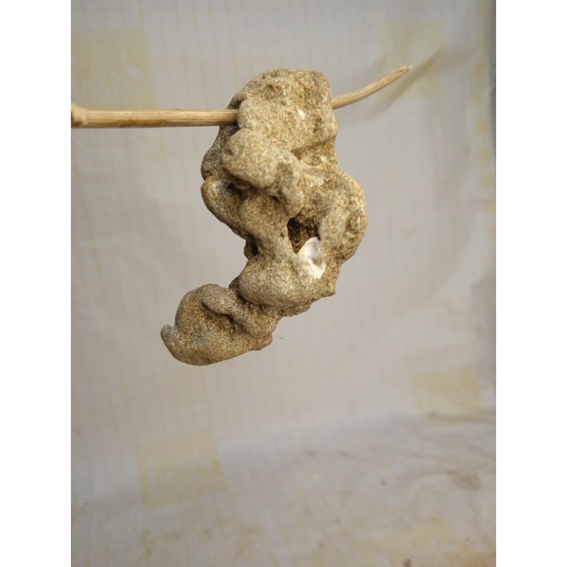 batu combong atau batu bolong proses alam