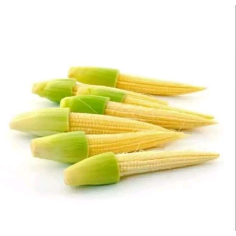 

jagung mudah 250gr
