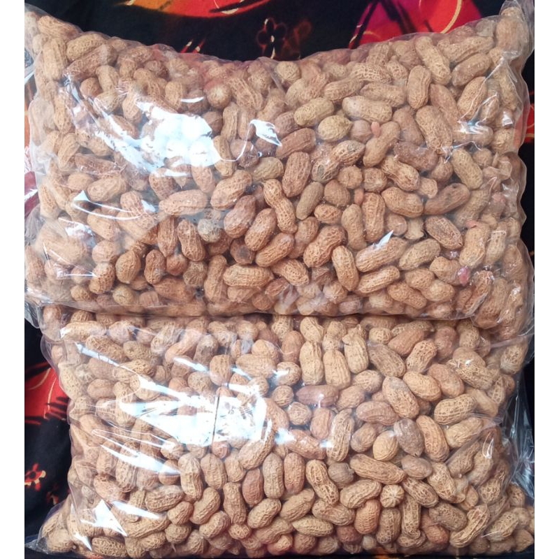 

kacang sangngar khas madura