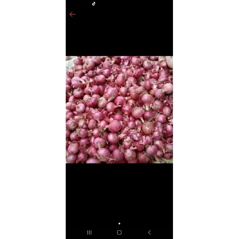 

bawang merah