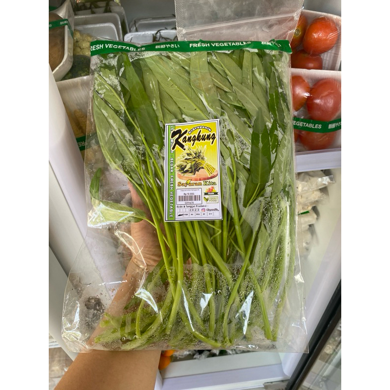 

Hidroponik Sayur Kangkung