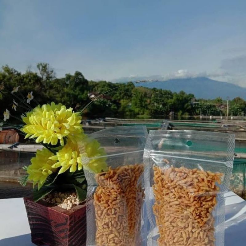 

LEMPUK CRISPY KHAS DANAU RANU GRATI ISI 150 GRAM