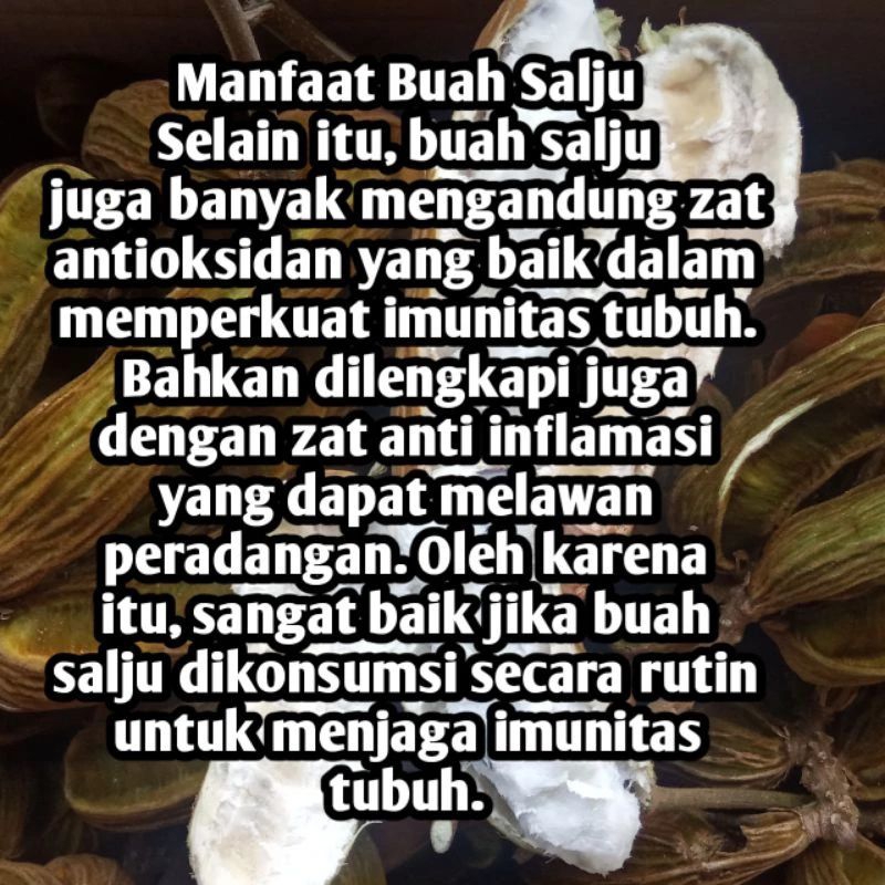 

buah salju/es krim asli bedugul bali 1 KG