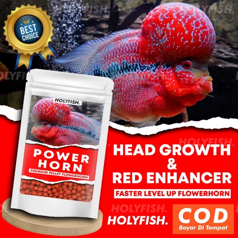 Pelet Pakan Ikan Louhan Power Horn Pakan Louhan