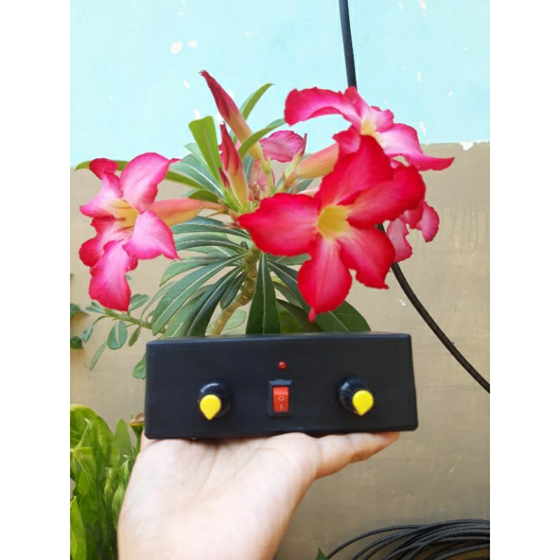 POWER AMPLI MINI STEREO 12 VOLT2 CHANNEL VOLUME DAYA MENGGUNAKAN ADAPTOR 12 Volt  AKI Mobil Truk Bus