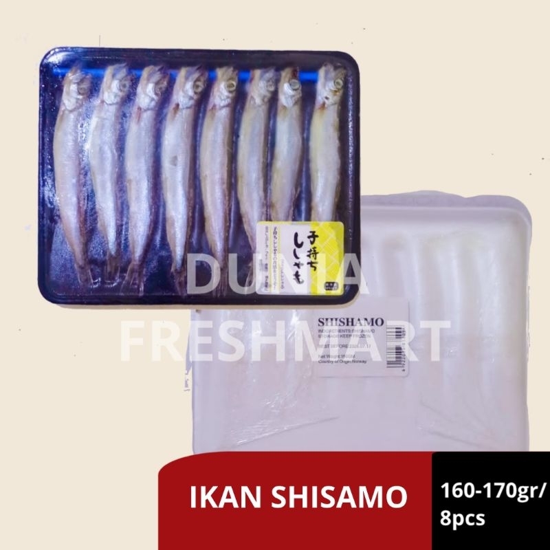 

IKAN SHISAMO/IKAN CAPELIN 170-180GR IKAN TELUR JEPANG PREMIUM SISAMO FISH
