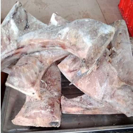 

Rahang Ikan Tuna 1kg 31,200rb/ikan tuna/rahangnya ikan tuna/seafood/ikan laut