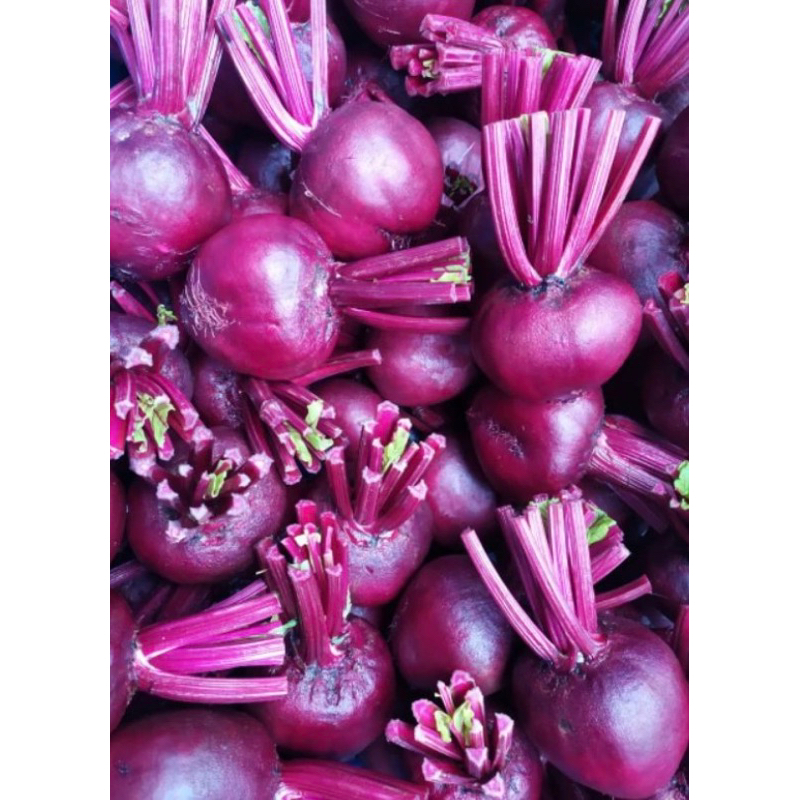 

Buah bit 1 kg dari petani langsung