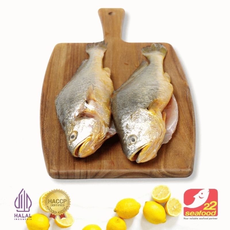 

Ikan Samge WGGS 1 kg / Bersih Tanpa Jeroan / Gulama Samge / Seafood 22