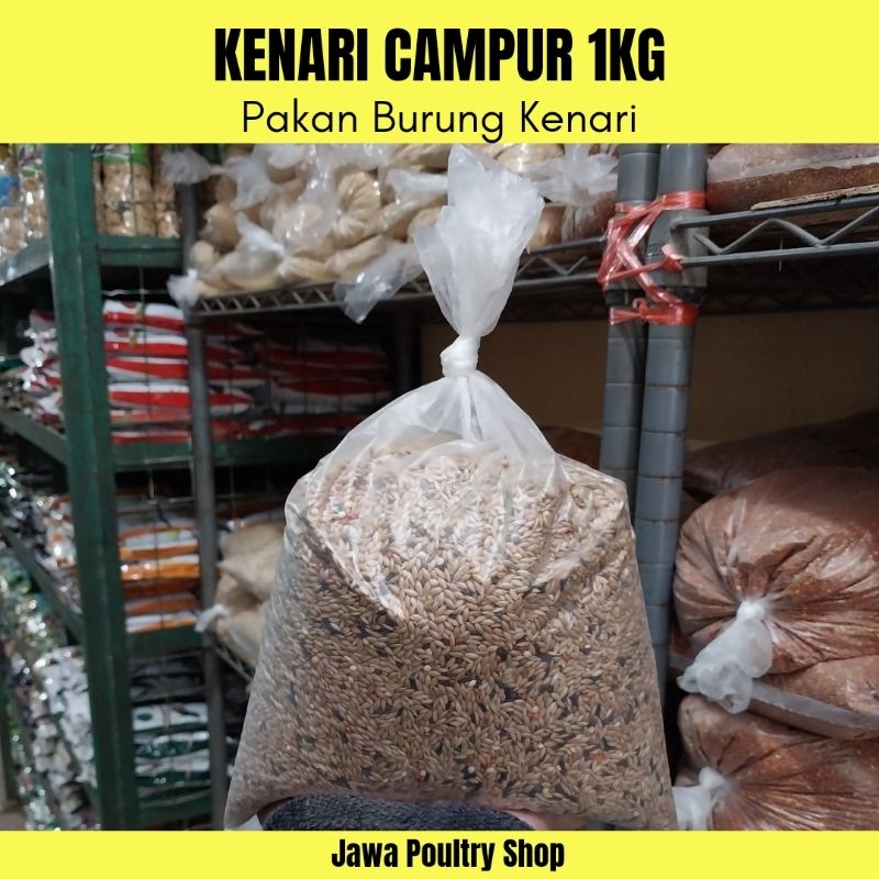 KENARI CAMPUR - Pakan Burung Kenari Kiloan - Kenari Seed Campur