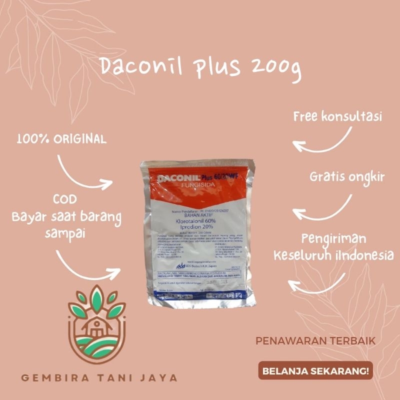 FUNGISIDA DACONIL PLUS 60/20WF 200gr