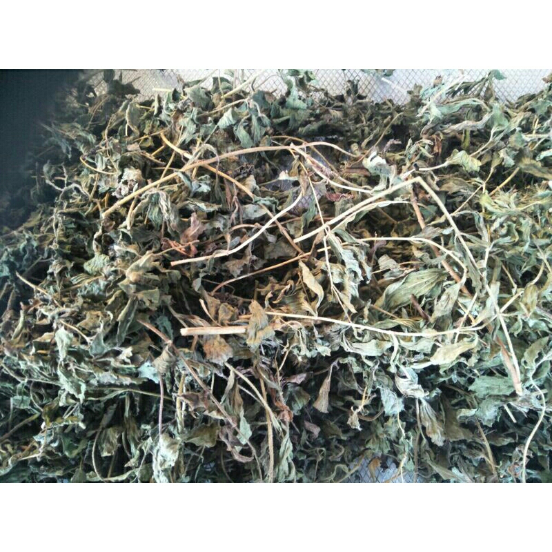 

Daun Stevia 100 gr