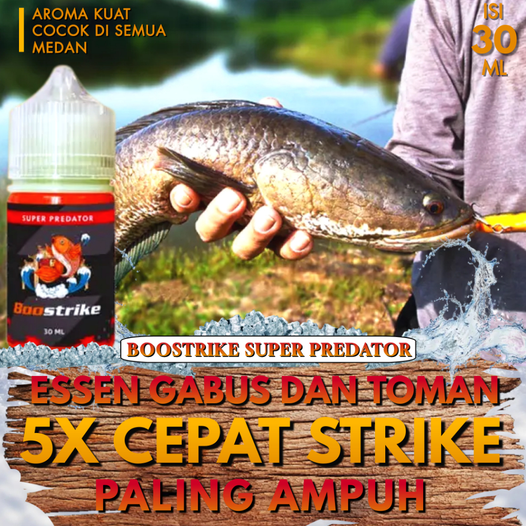 BOOSTRIKE SUPER PREDATOR 100% ORIGINAL - Essen Ikan Gabus & Toman Kutuk Ikan Cana Liar Paling Ampuh