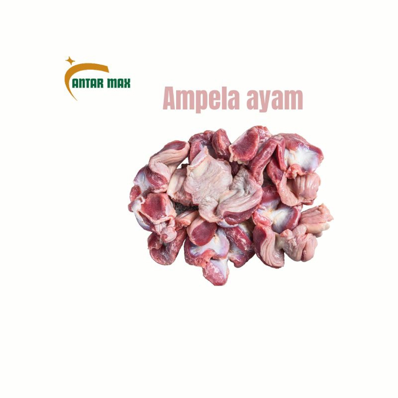 

Ampela ayam /pcs