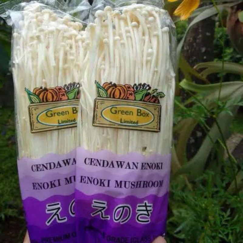 

JAMUR ENOKI 100 GRAM / CHAMPIGNON 250G / SHITAKE 250G / TIRAM 500G