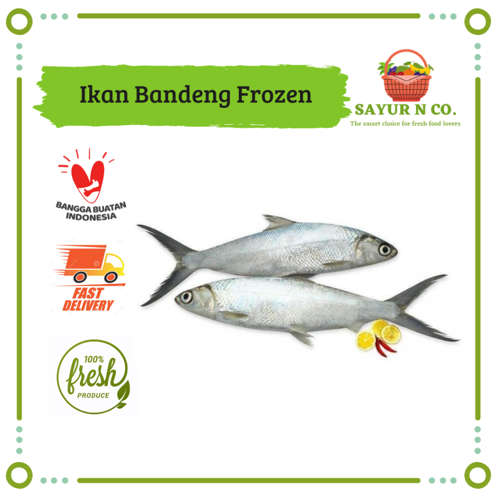 

Ikan Bandeng Frozen | Sayur N Co Bekasi