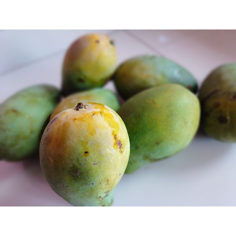 

Mangga Harumanis