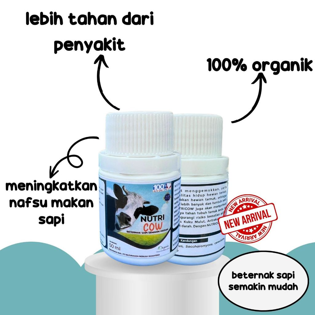 NUTRICOW PROBIOTIK SAPI - probiotic penggemuk sapi nutrisi sapi penggemuk sapi super cepat penggemuk
