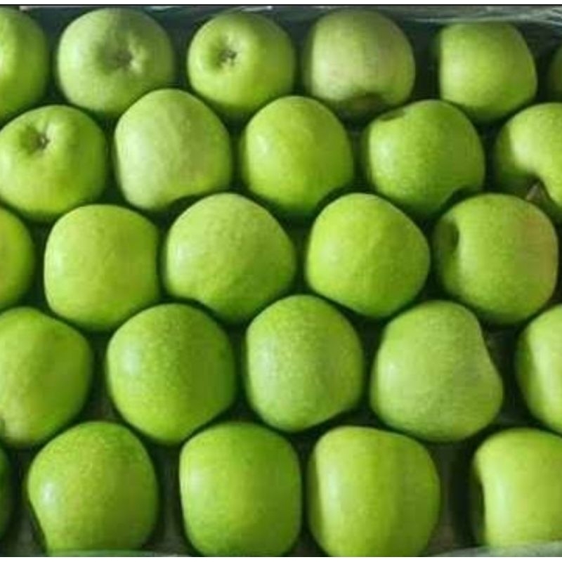 APEL HIJAU GRANNY SMITH